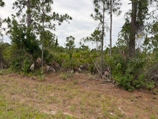 12141 Mc Elroy Avenue Port Charlotte FL 33981 C7526849 image2