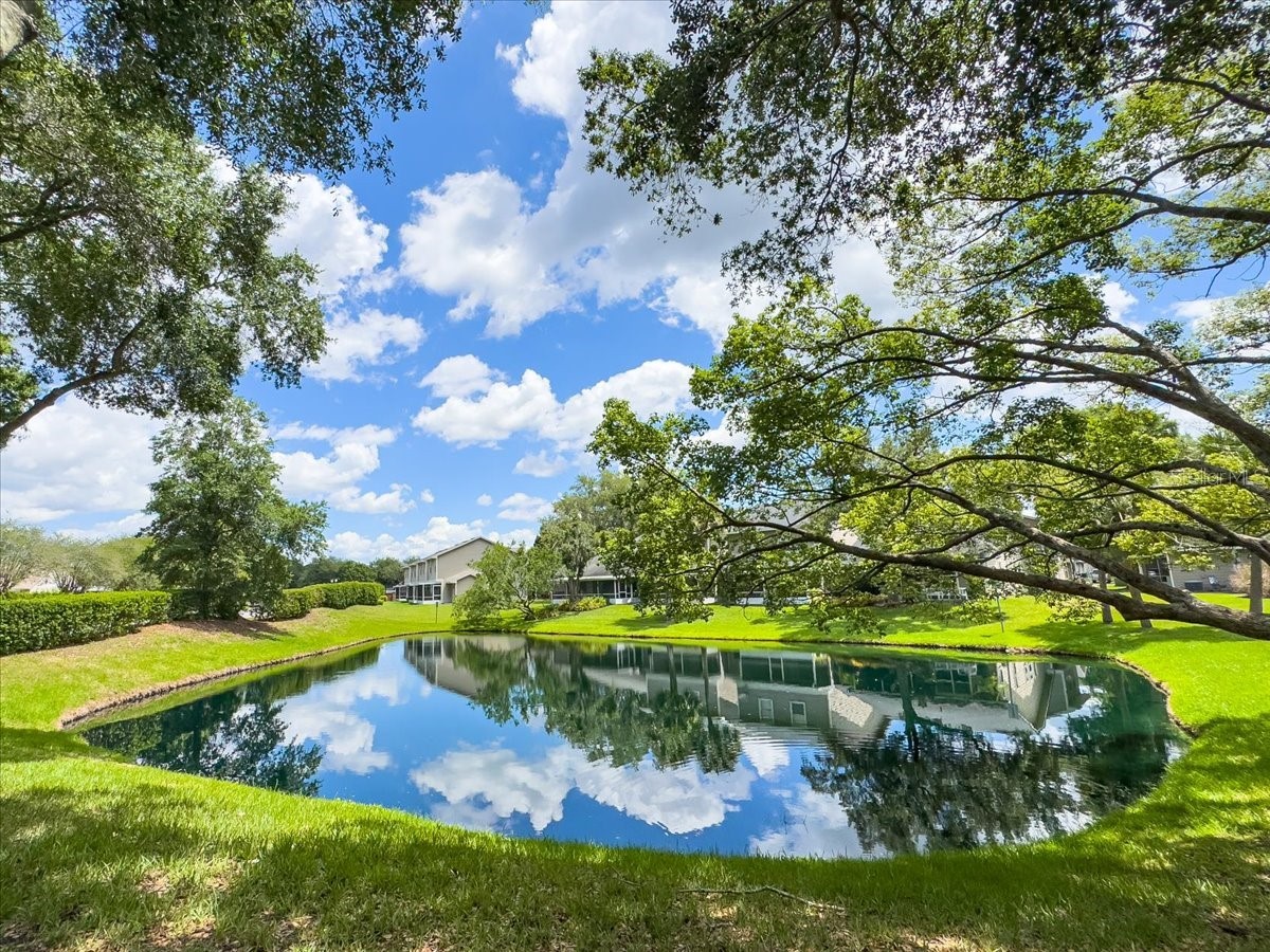 12143 Bruceton Way #108 Orlando FL 32828 O6408287 image38
