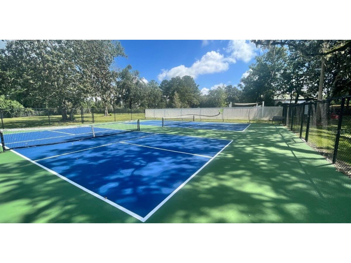 12143 Grand Oak Lane Oxford FL 34484 O6265151 image25