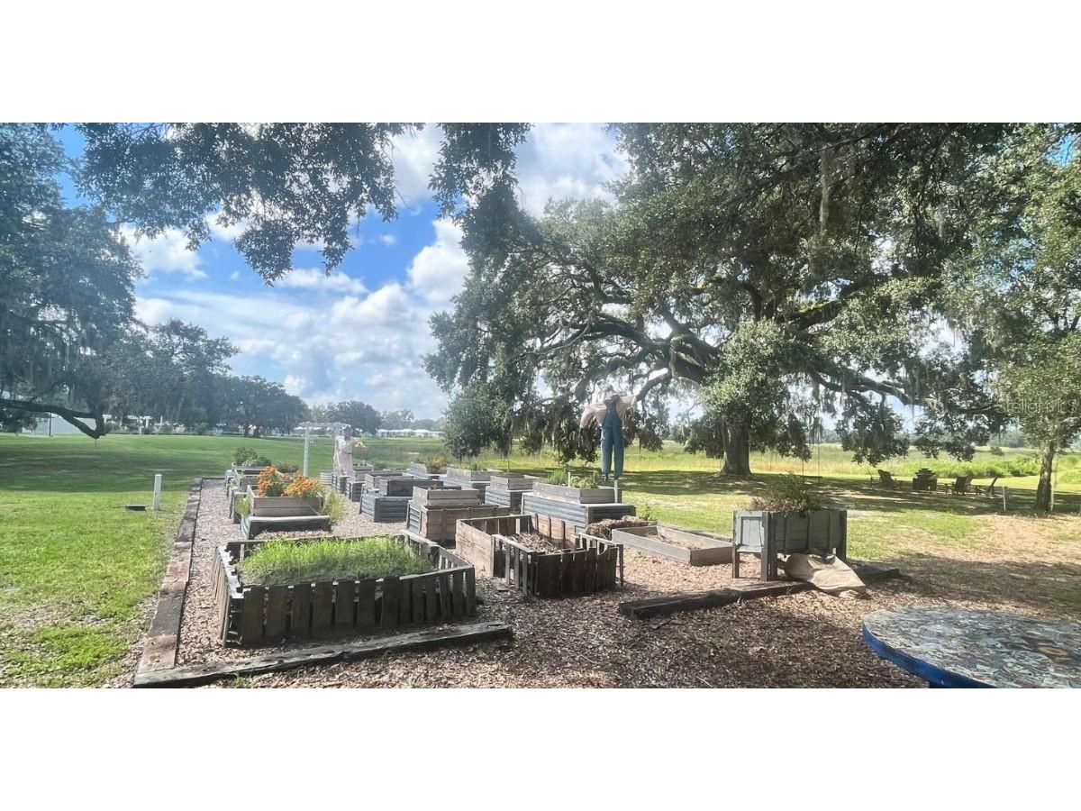 12143 Grand Oak Lane Oxford FL 34484 O6265151 image27