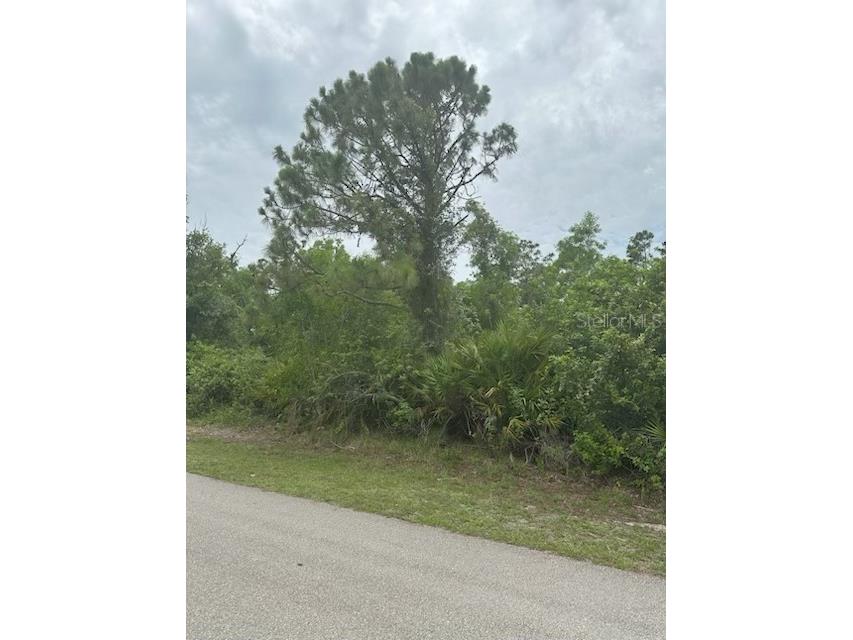 12143 Pontoon Boulevard Punta Gorda FL 33955 C7513740 image4