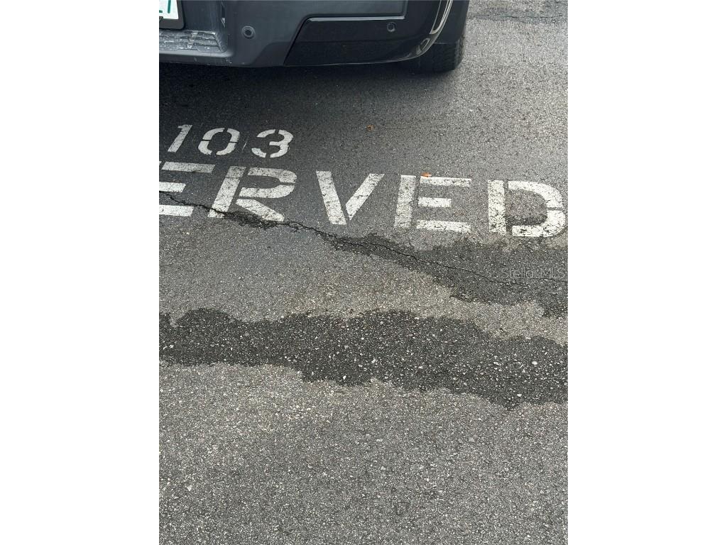 12144 Bruceton Way #101 Orlando FL 32828 OM707097 image3