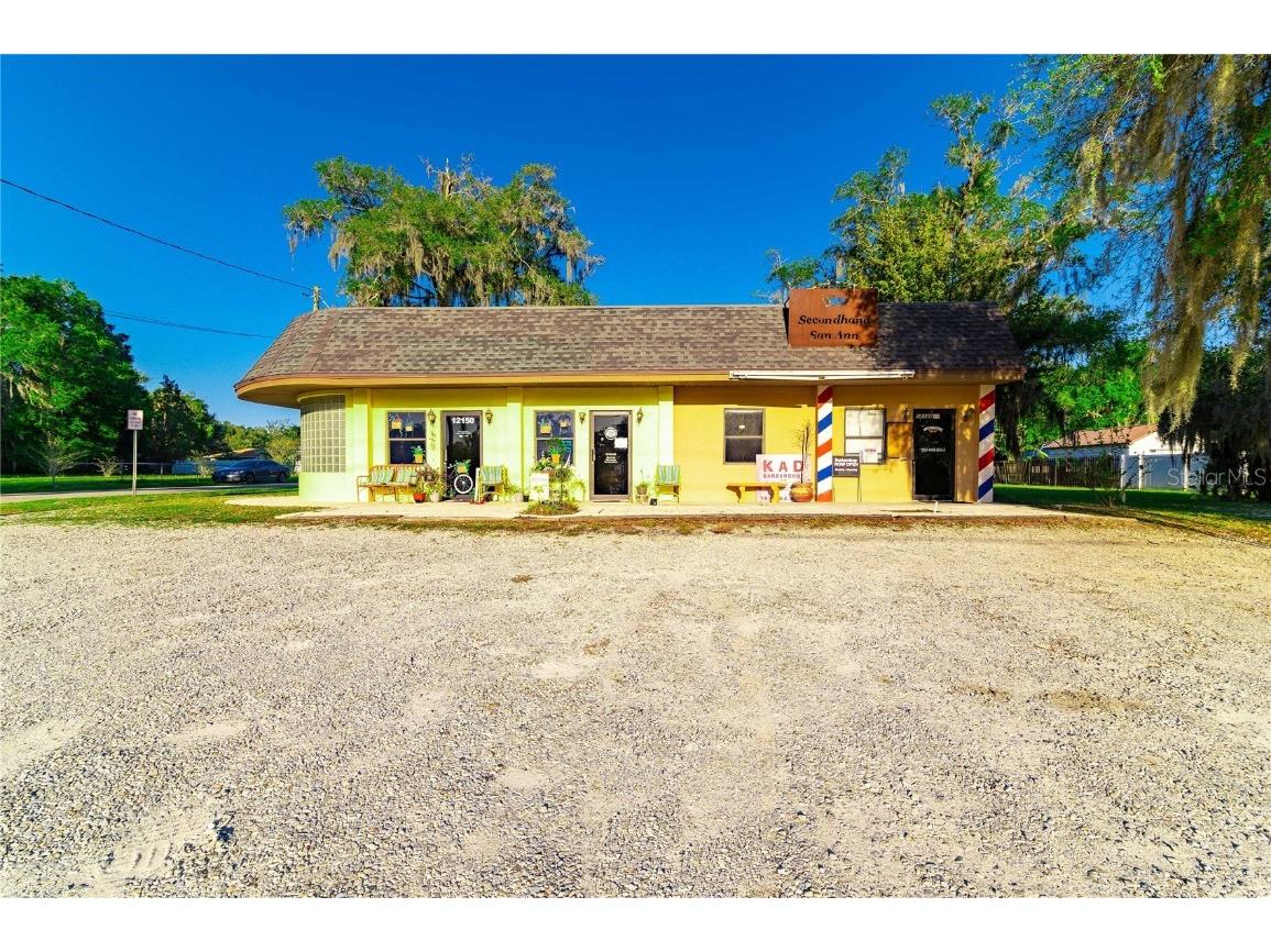 12146 Curley Street San Antonio FL 33576 T3356912 image1