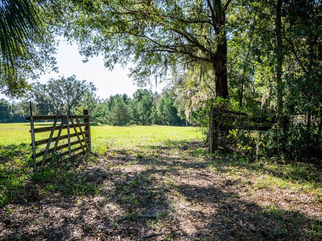 12146 E Highway 318 Fort Mc Coy FL 32134 OM687683 image40