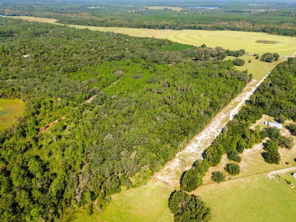 12146 E Highway 318 Fort Mc Coy FL 32134 OM687683 image44