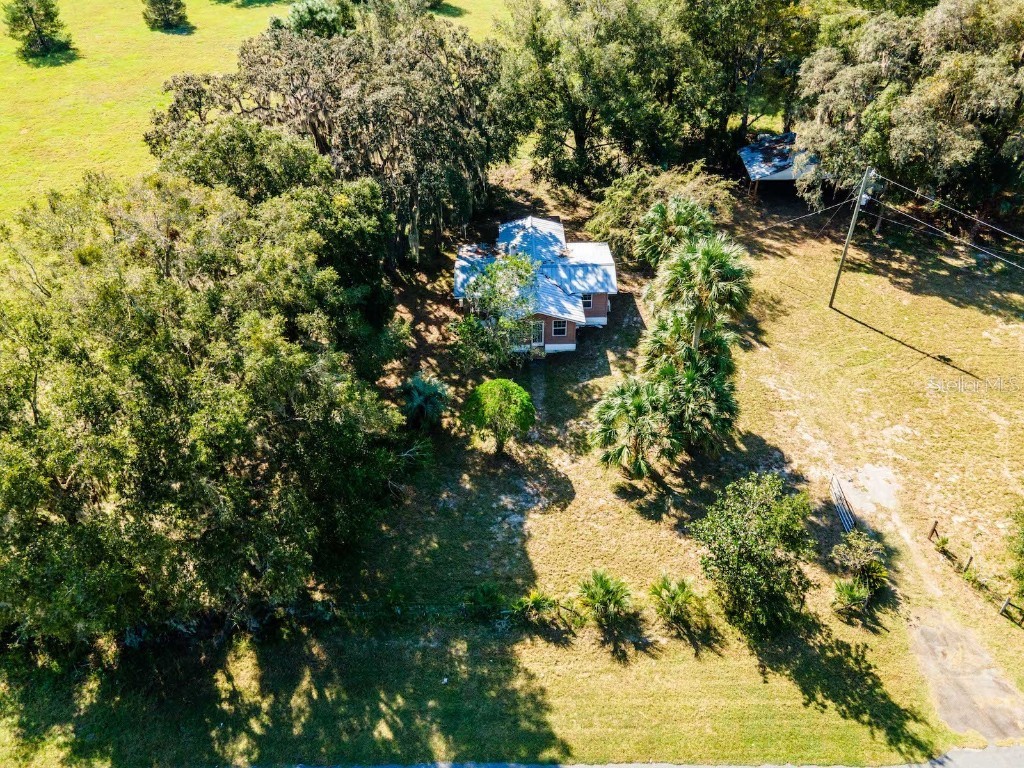 12146 E Highway 318 Fort Mc Coy FL 32134 OM687683 image46