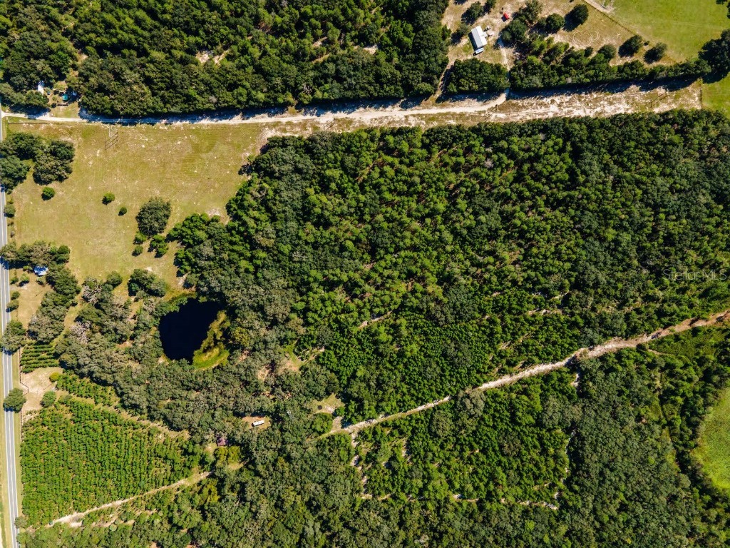 12146 E Highway 318 Fort Mc Coy FL 32134 OM687683 image47