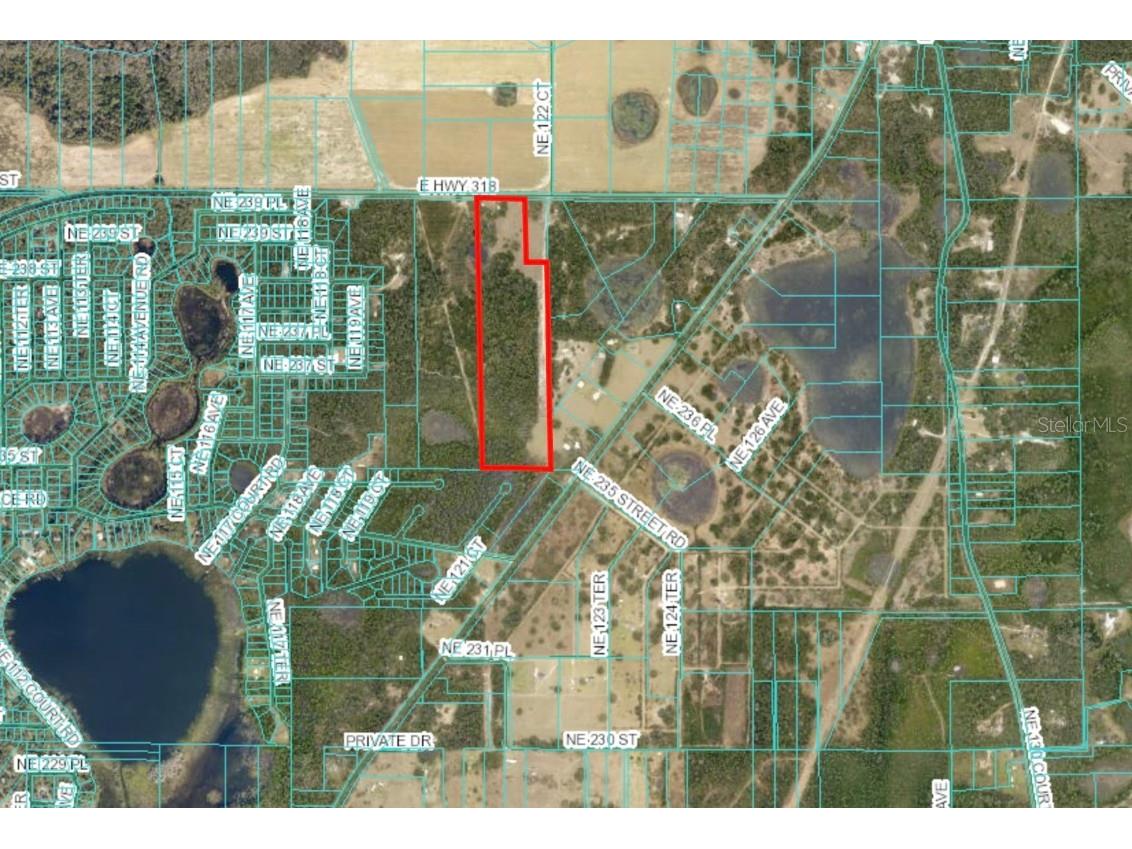 12146 E Highway 318 Fort Mc Coy FL 32134 OM687683 image50