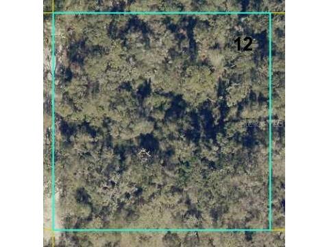 12146 SW 41st Way Webster FL 33597 TB8506478 image1