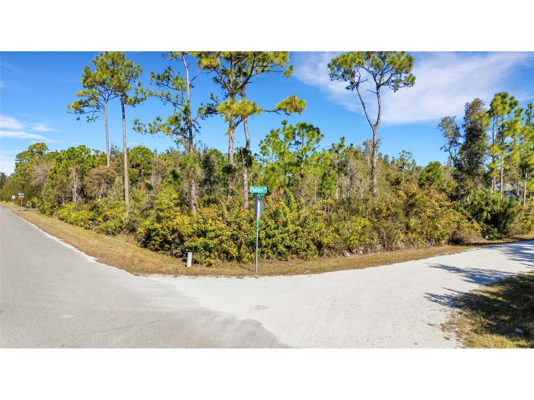 12147 Platano Drive Punta Gorda FL 33955 A4697018 image9