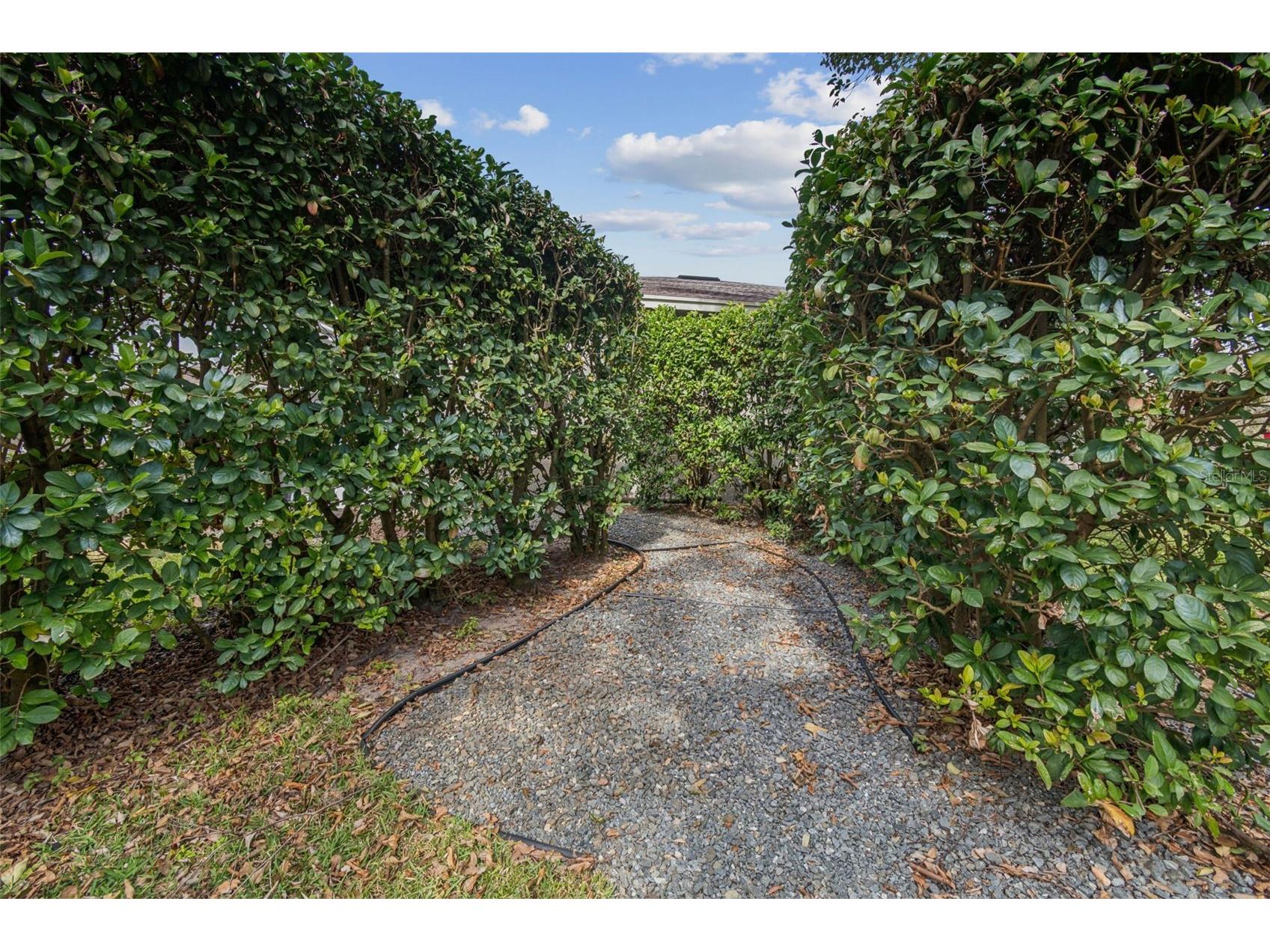 12147 Quail Ridge Drive Spring Hill FL 34610 TB8467699 image86