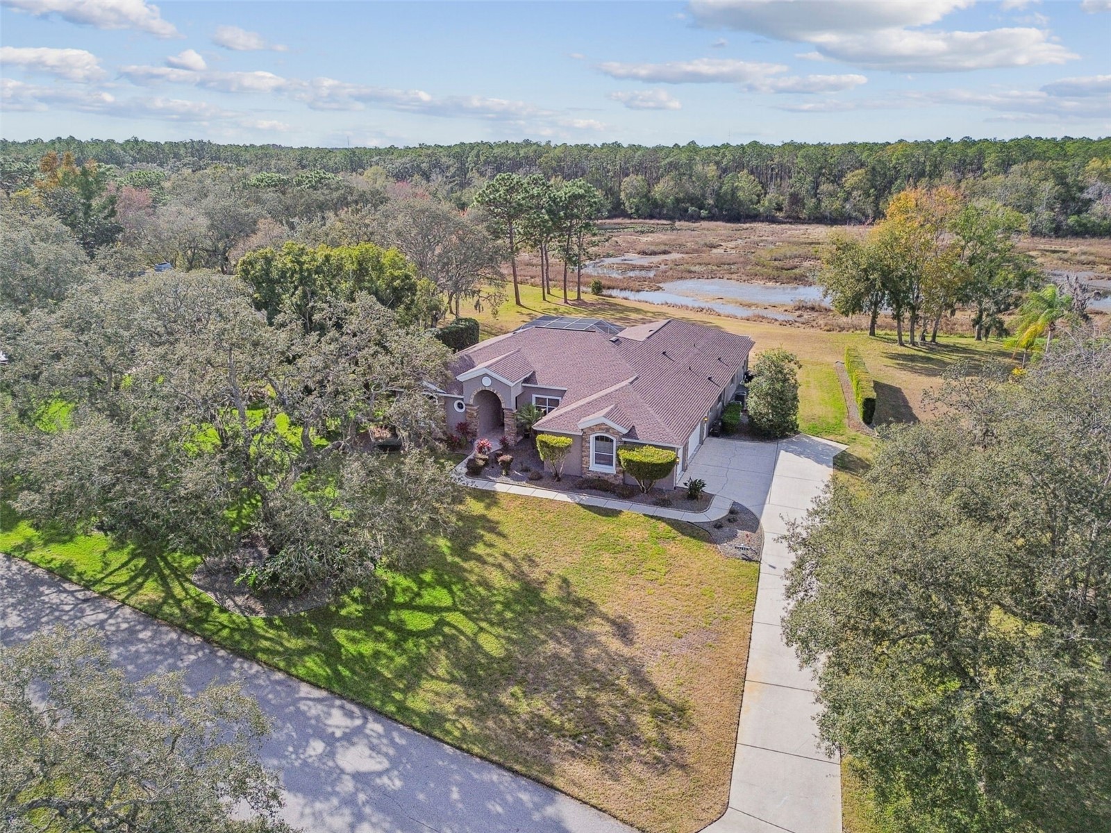 12147 Quail Ridge Drive Spring Hill FL 34610 TB8467699 image94