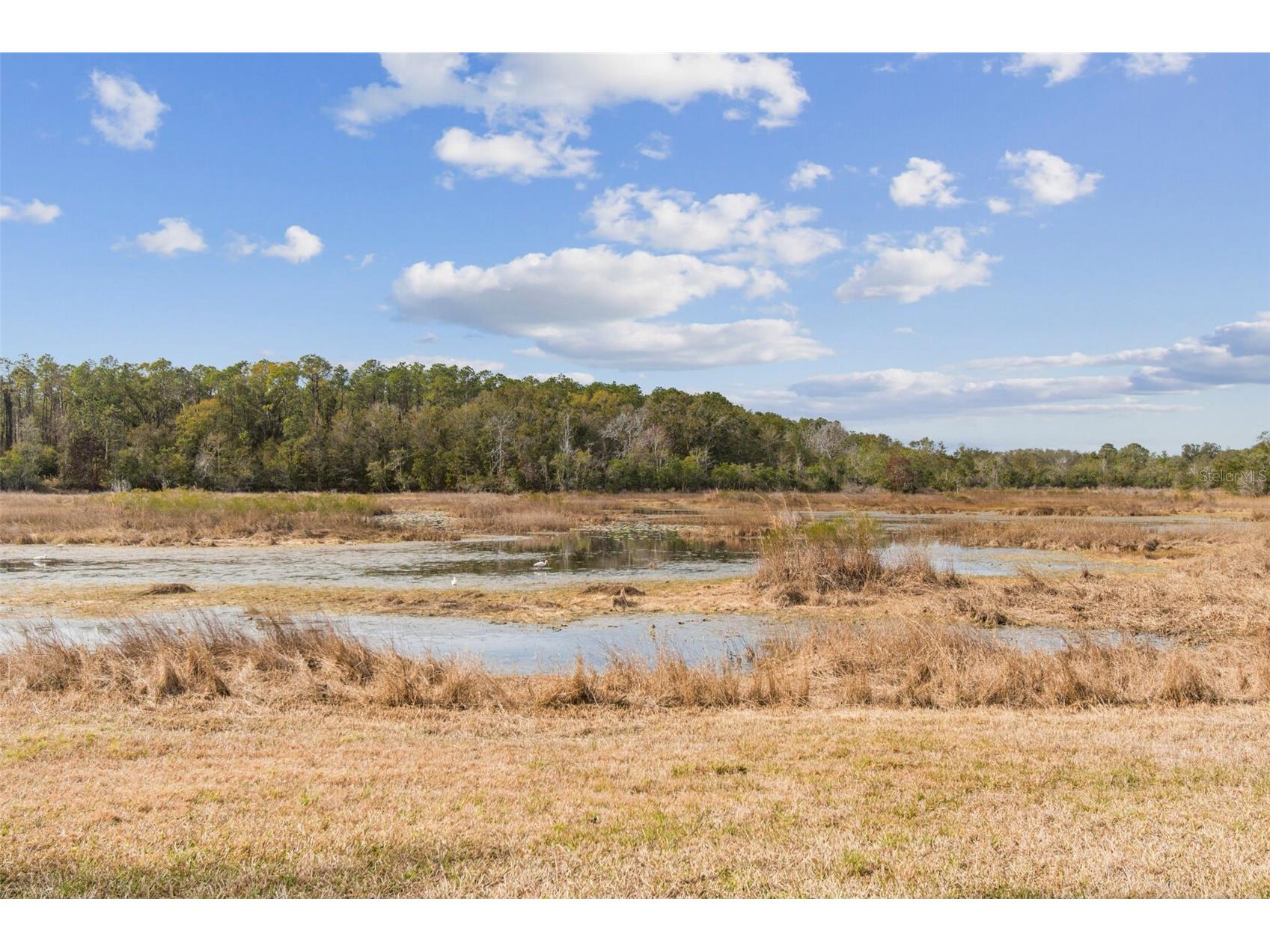 12147 Quail Ridge Drive Spring Hill FL 34610 TB8467699 image96