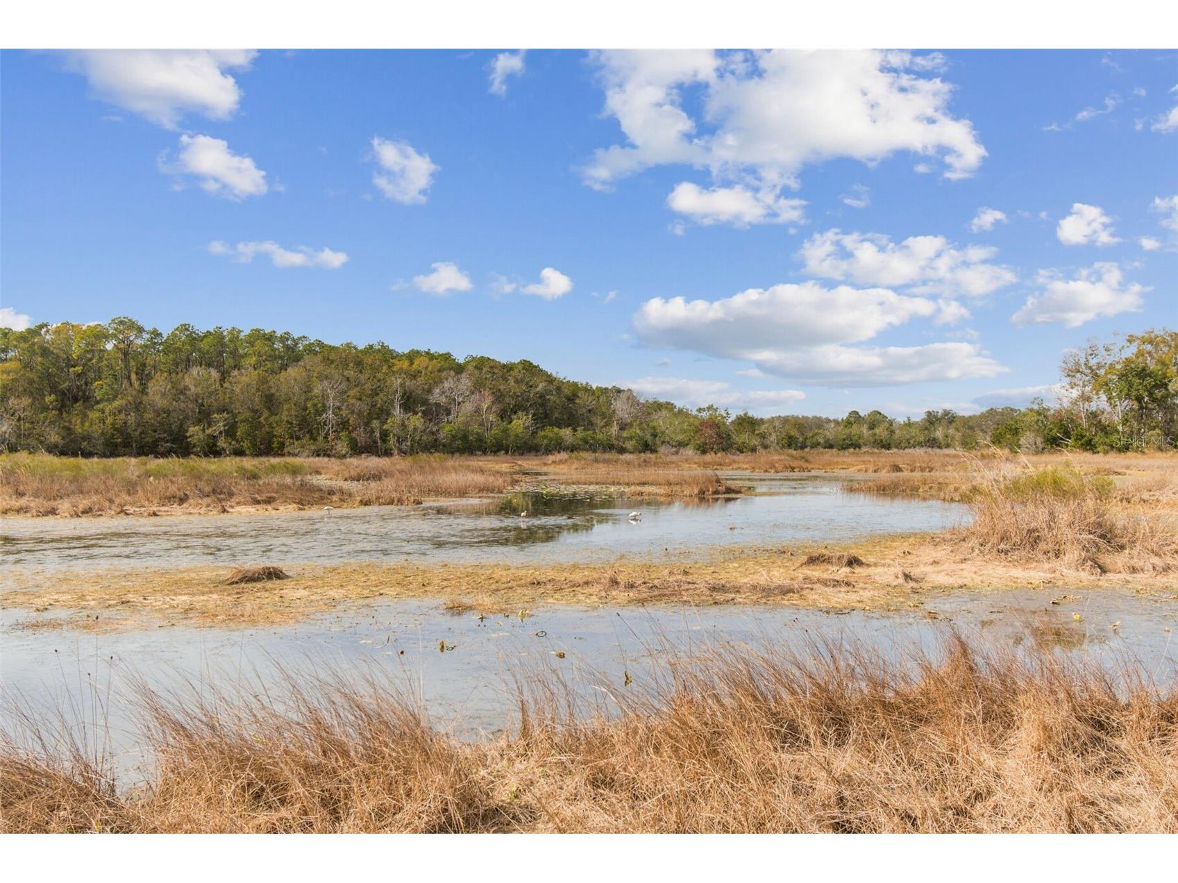 12147 Quail Ridge Drive Spring Hill FL 34610 TB8467699 image97