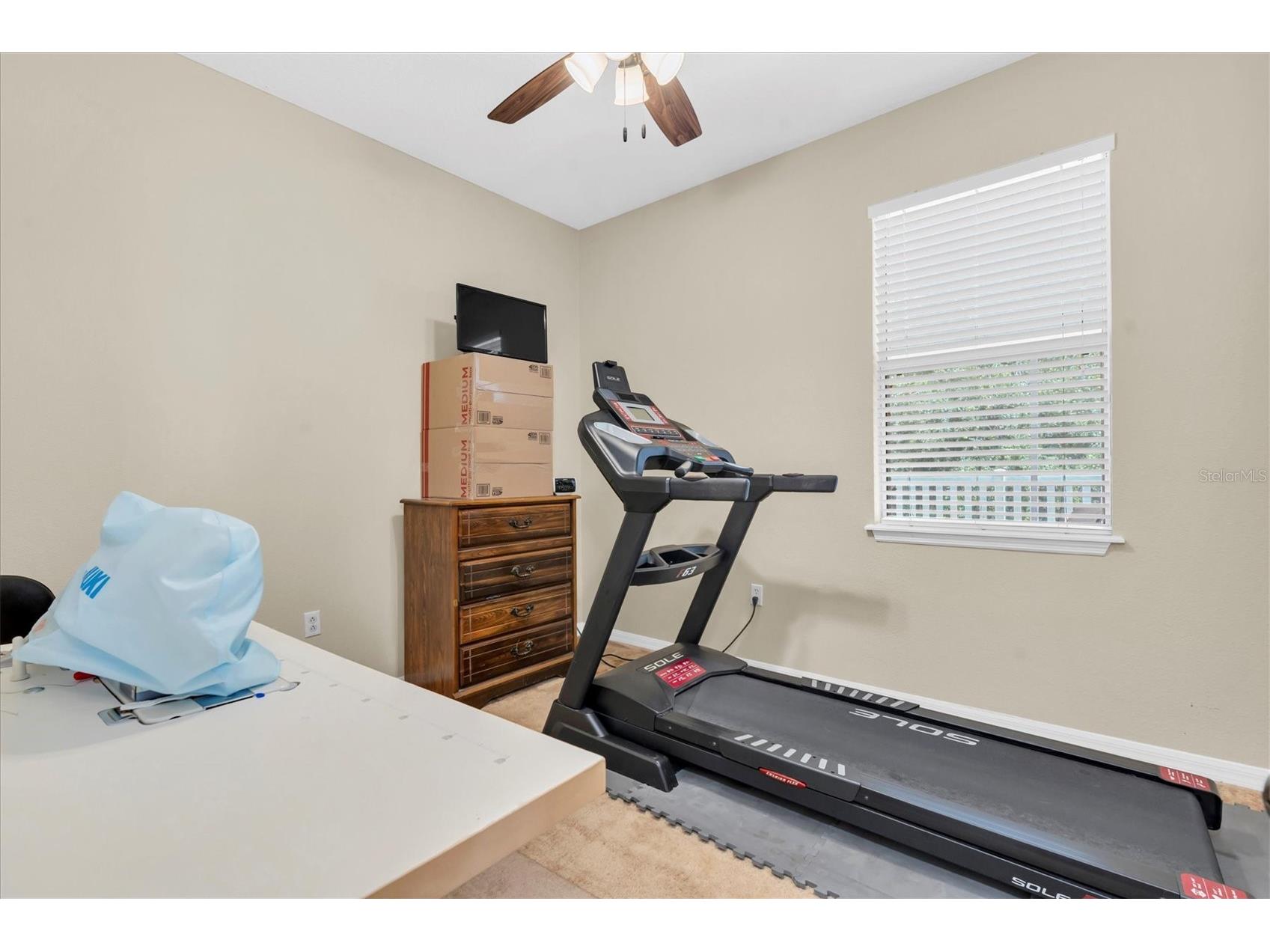 12148 Colony Lakes Boulevard New Port Richey FL 34654 W7881758 image25