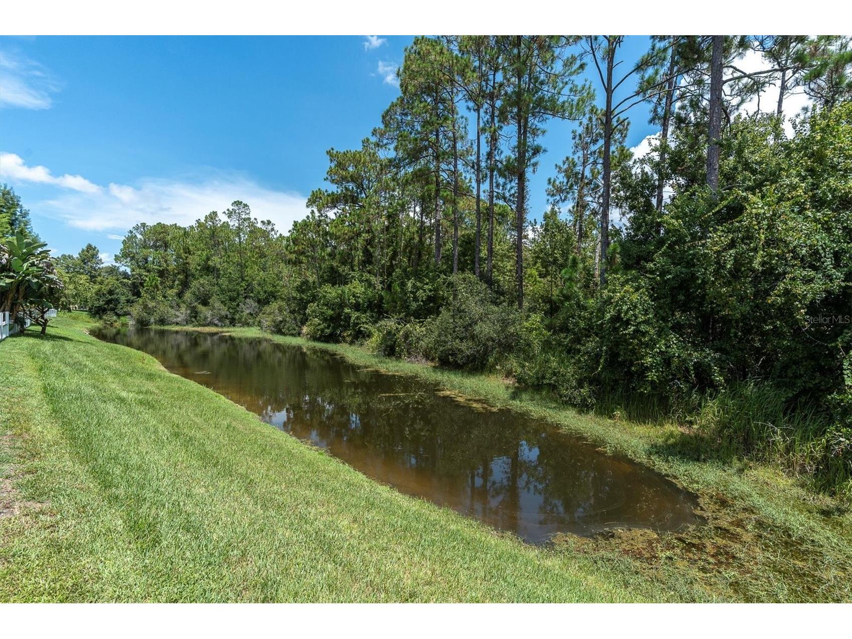 12148 Colony Lakes Boulevard New Port Richey FL 34654 W7881758 image39