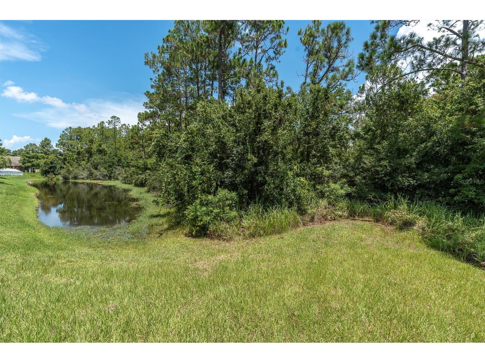 12148 Colony Lakes Boulevard New Port Richey FL 34654 W7881758 image40