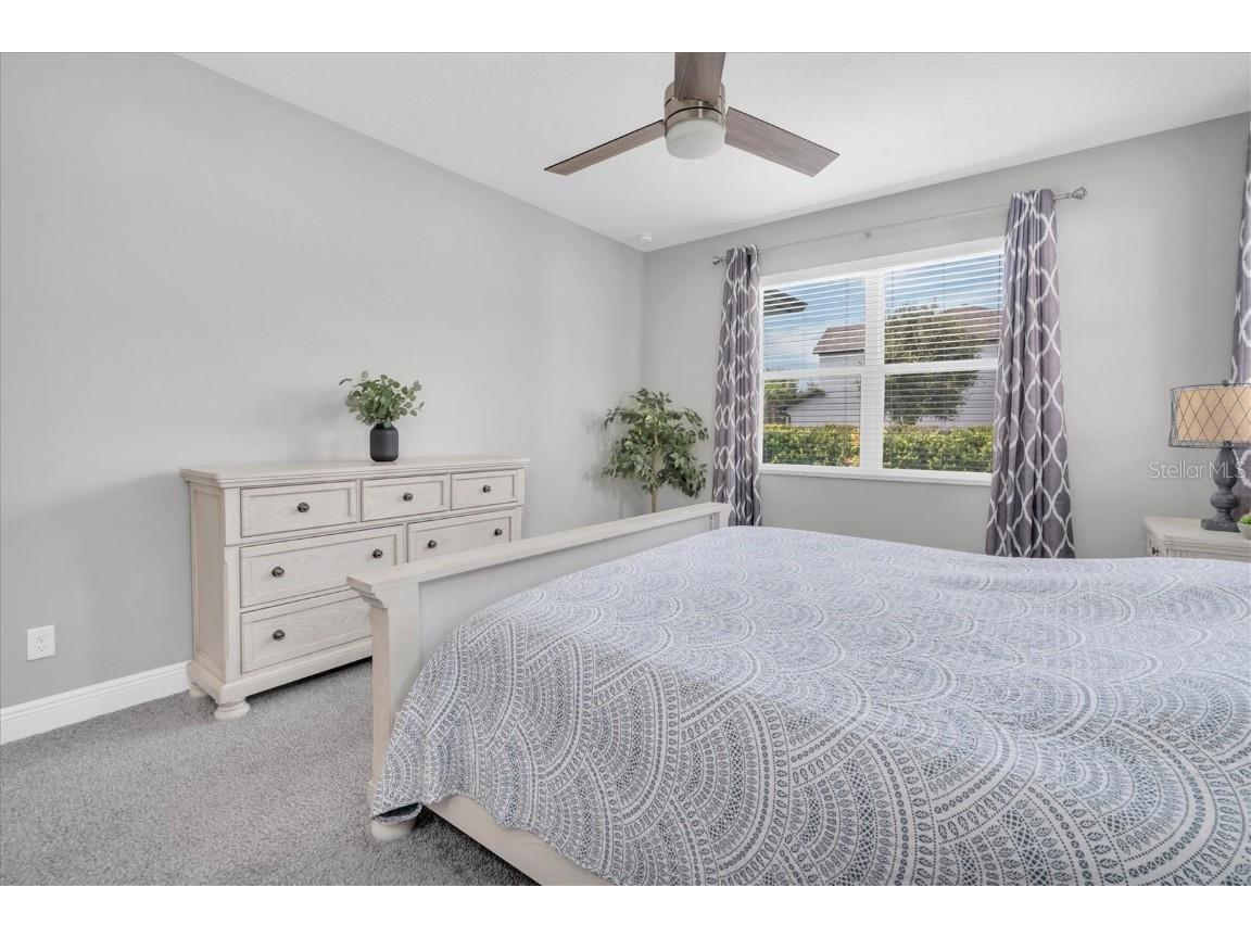 12148 Homesteader Avenue Odessa FL 33556 TB8416678 image22