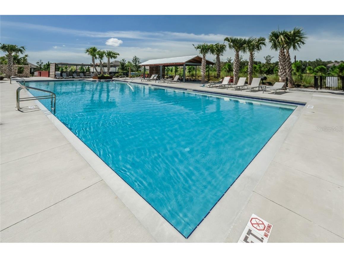 12148 Homesteader Avenue Odessa FL 33556 TB8416678 image84