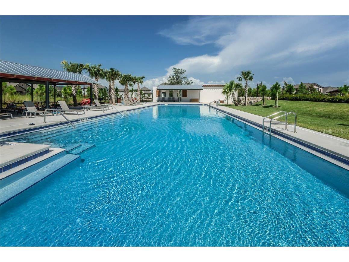 12148 Homesteader Avenue Odessa FL 33556 TB8416678 image85