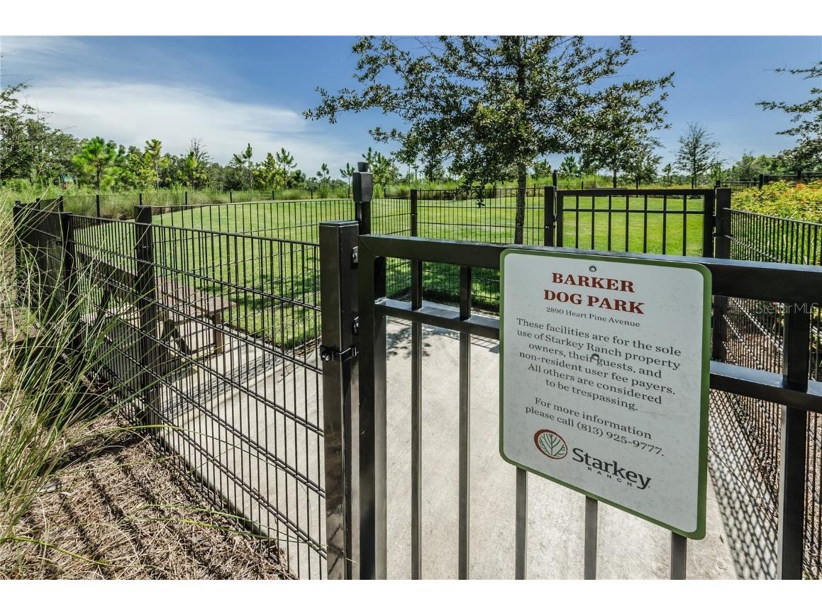 12148 Homesteader Avenue Odessa FL 33556 TB8416678 image86