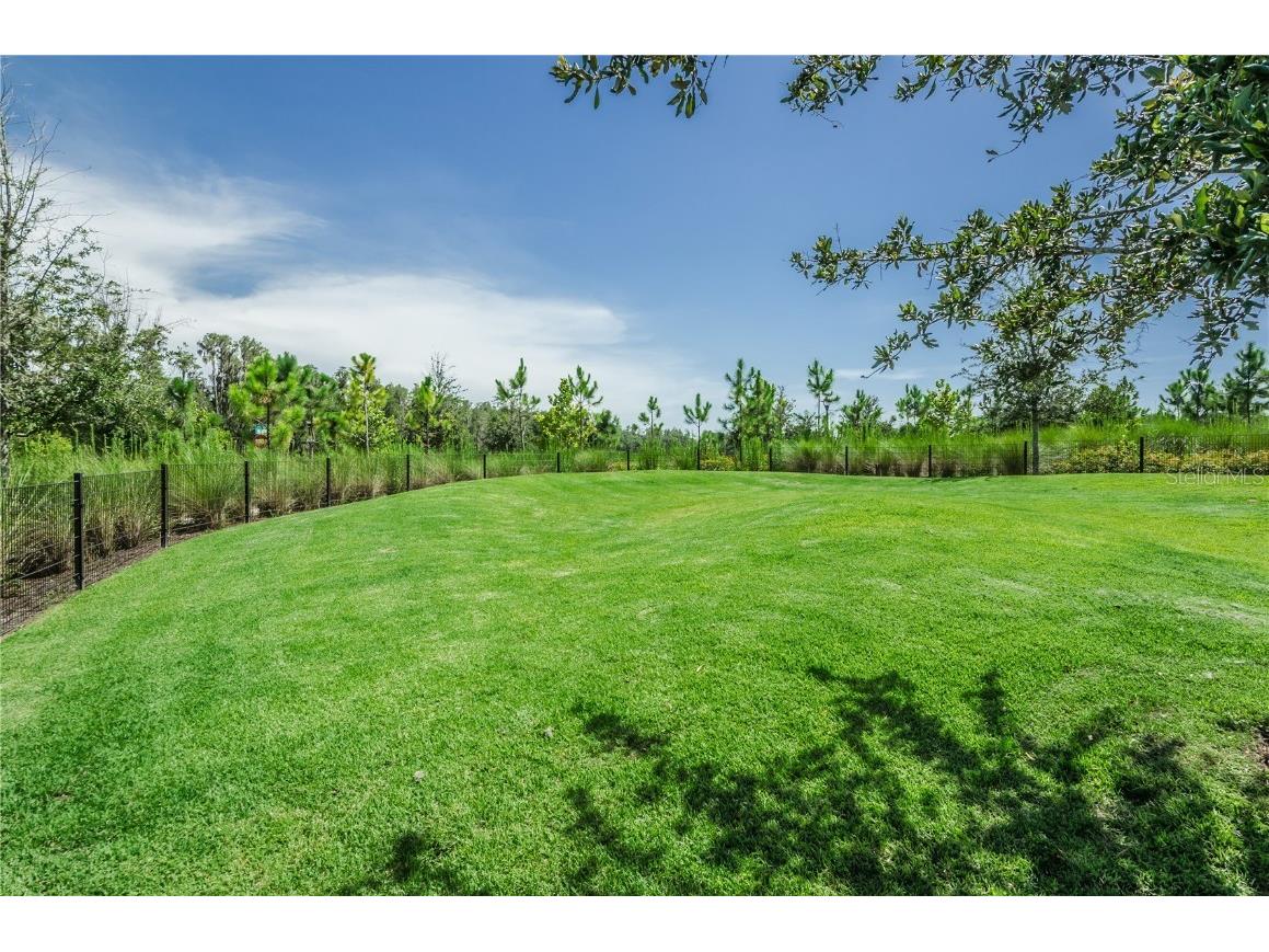 12148 Homesteader Avenue Odessa FL 33556 TB8416678 image87