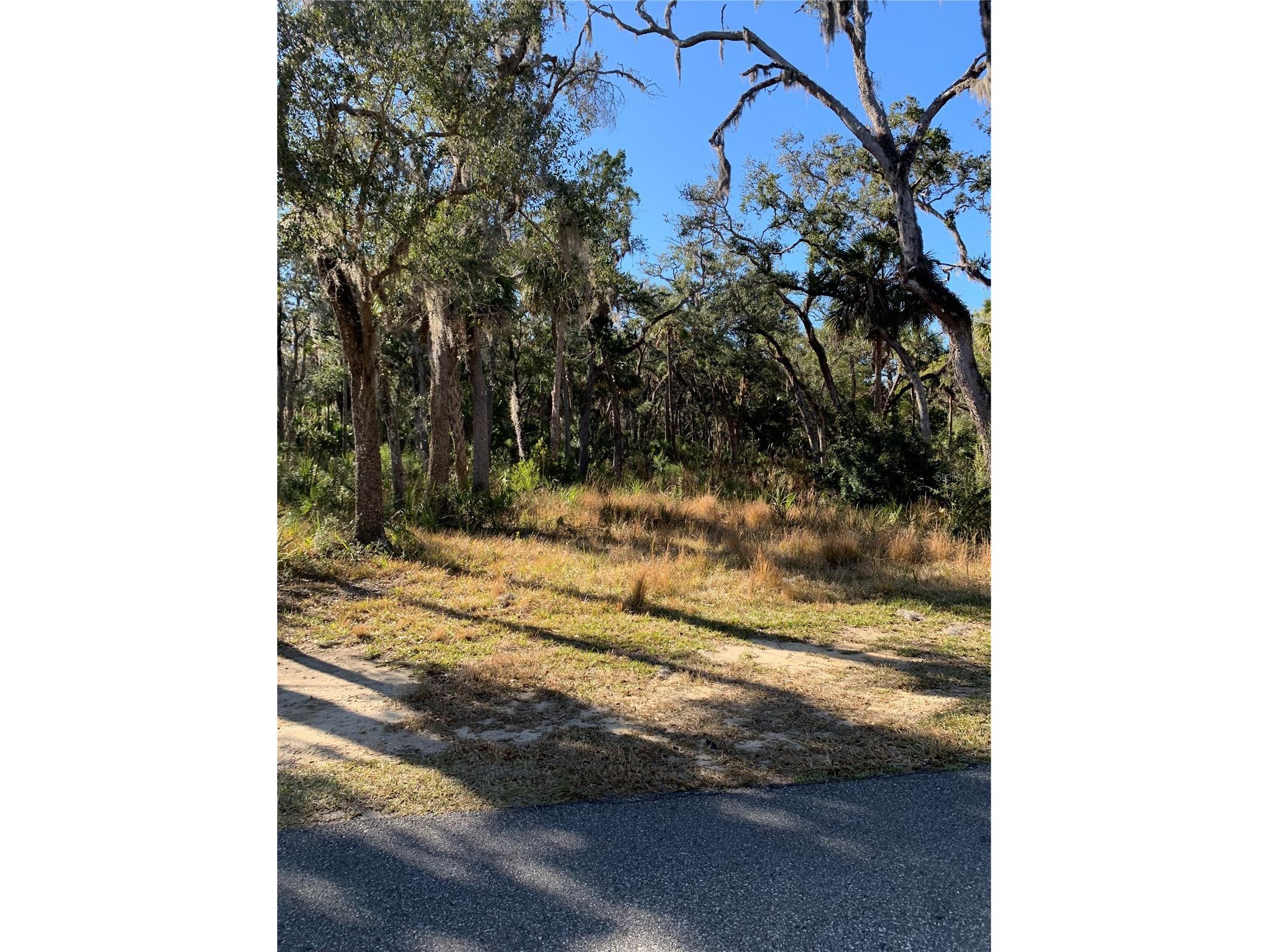 12148 W Standish Drive Homosassa FL 34448 A4681319 image4