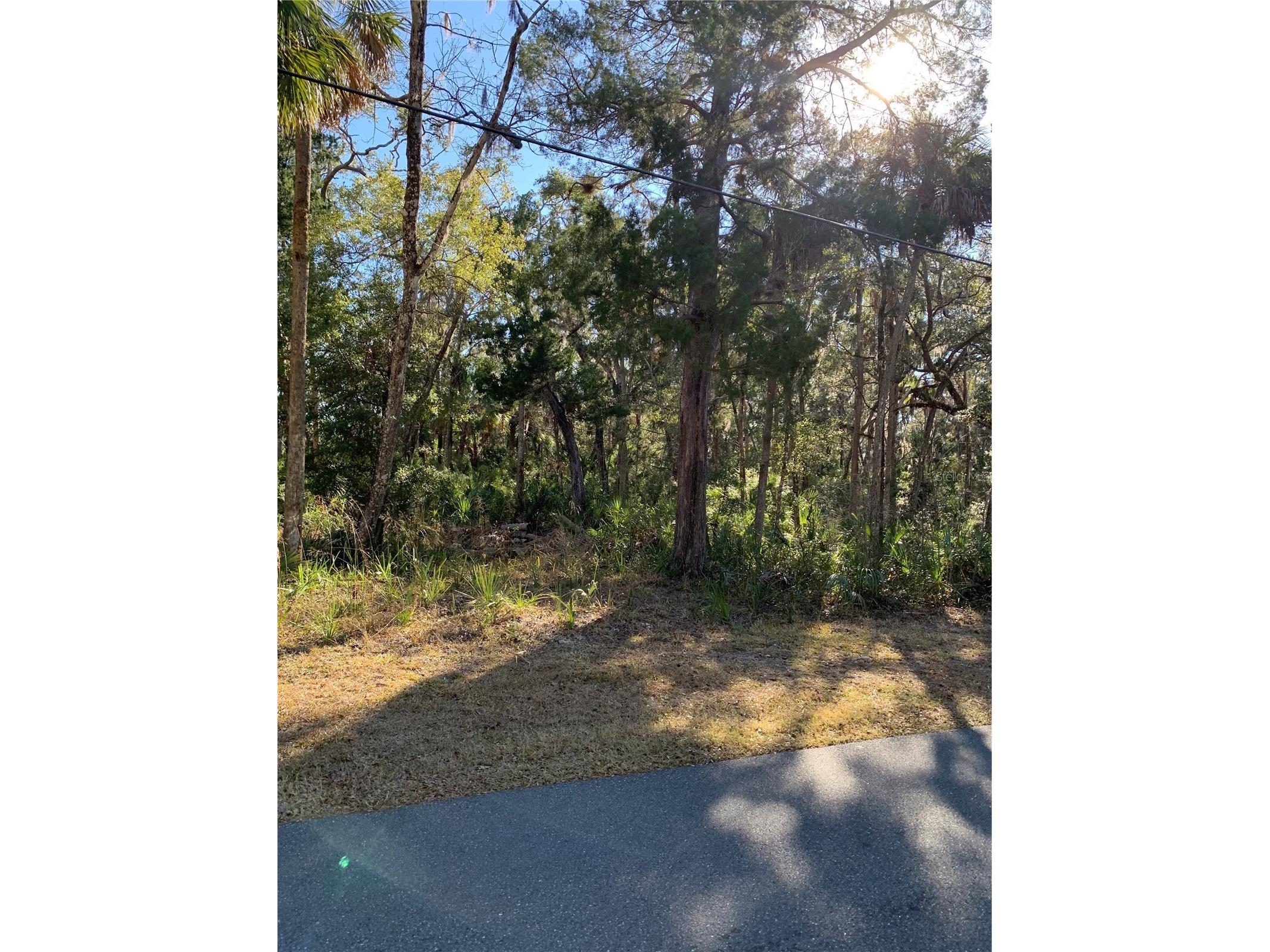 12148 W Standish Drive Homosassa FL 34448 A4681319 image5