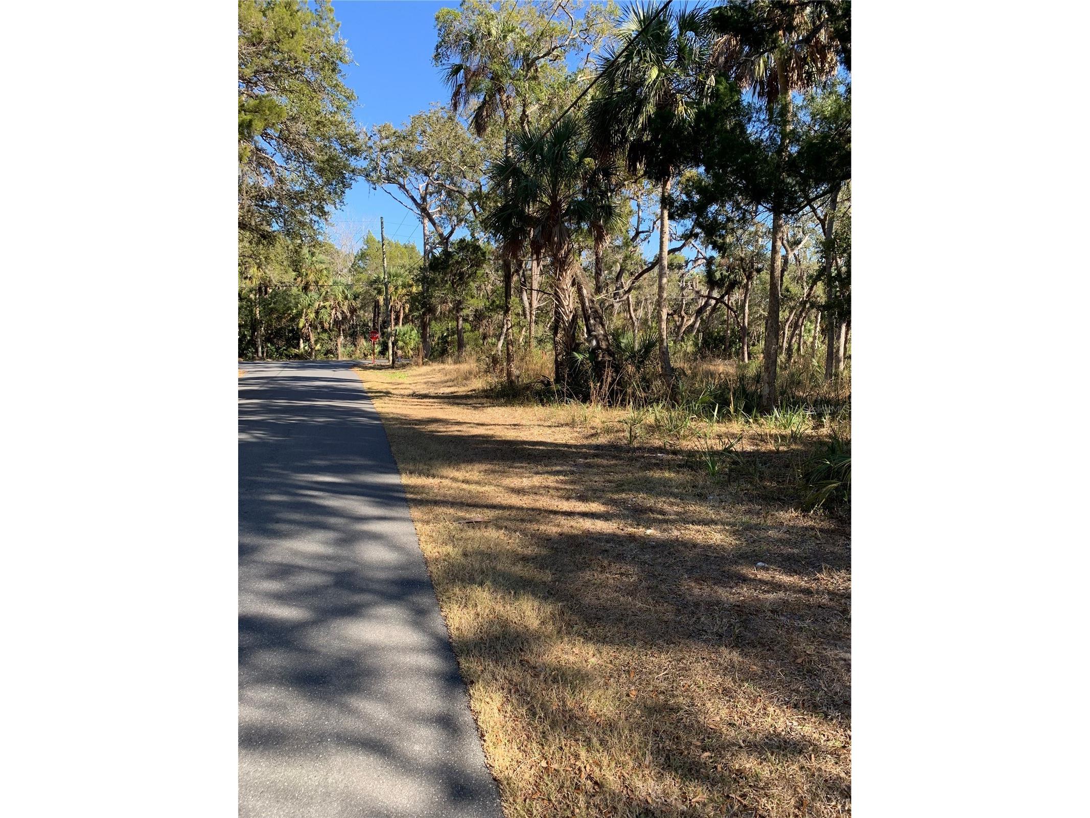 12148 W Standish Drive Homosassa FL 34448 A4681319 image7