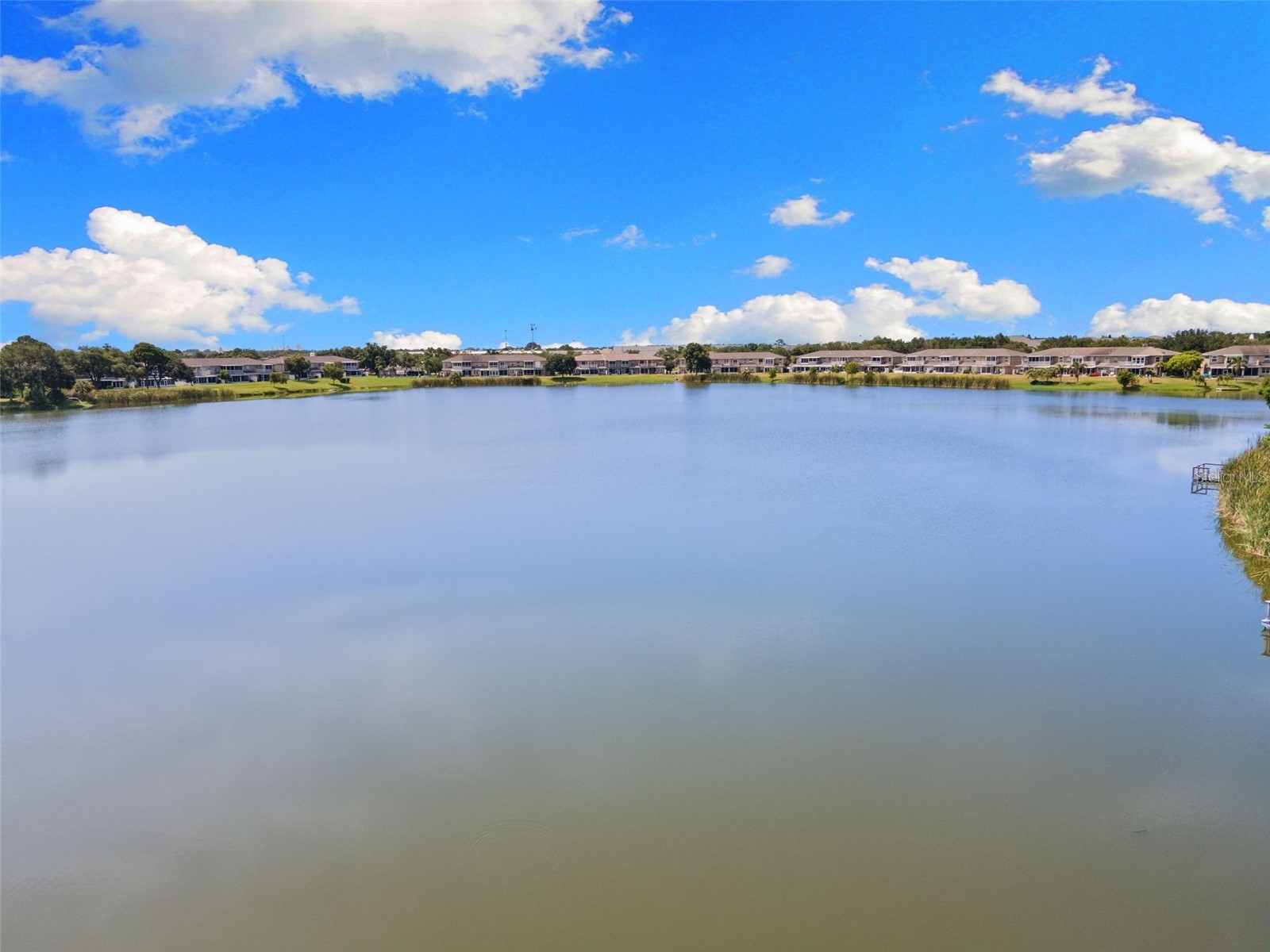 12149 Wild Acres Road Largo FL 33773 - LAKE ALLEN TB8525490 image8