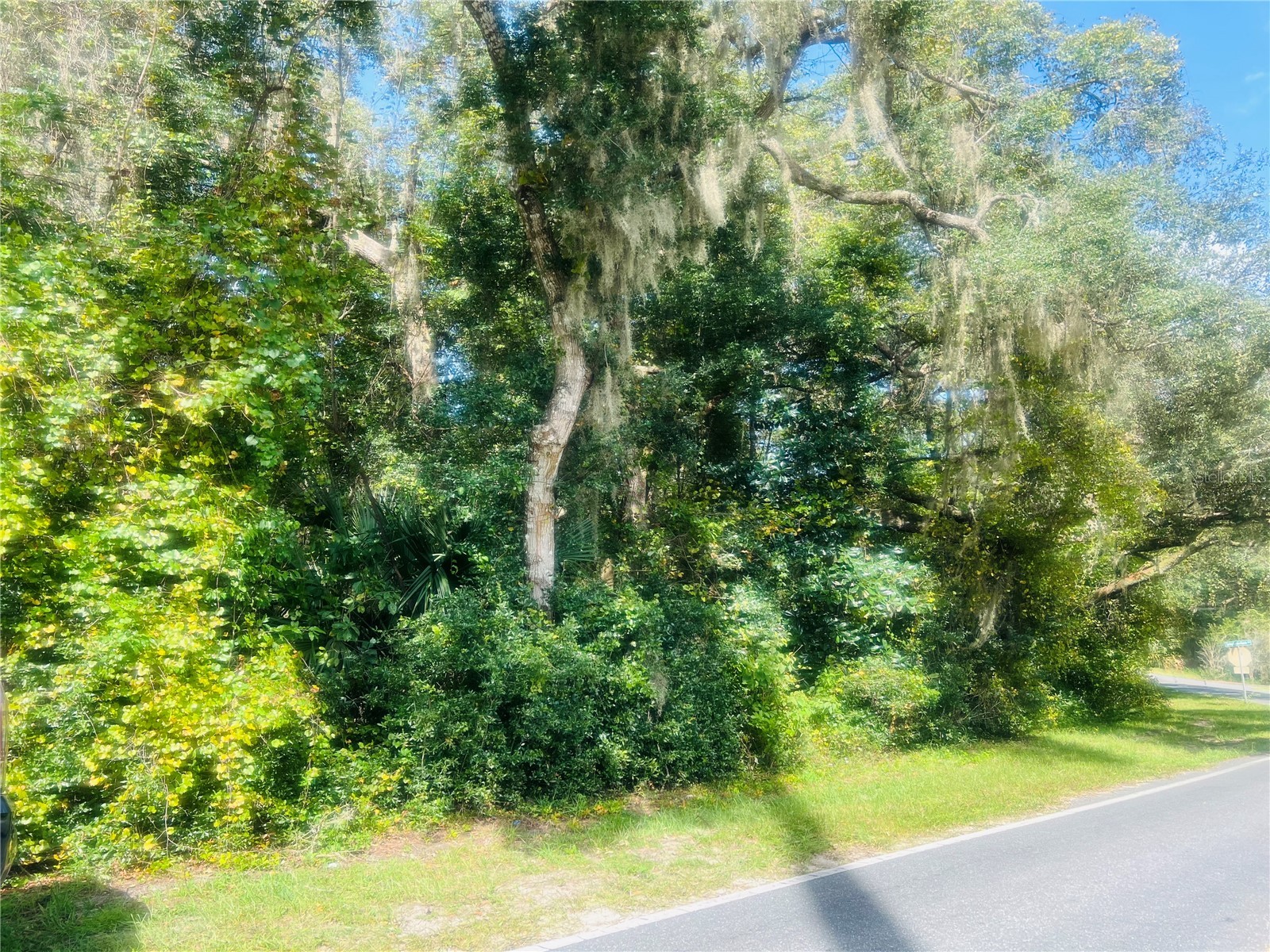 1215 Arredondo Grant Road De Leon Springs FL 32130 V4938730 image2