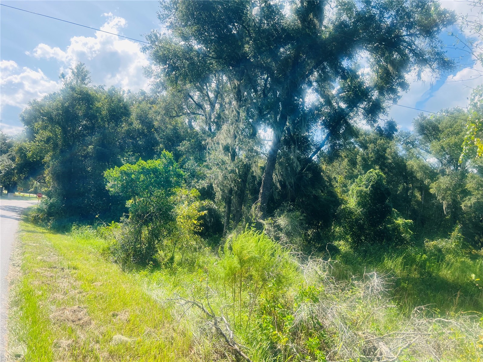 1215 Arredondo Grant Road De Leon Springs FL 32130 V4938730 image3