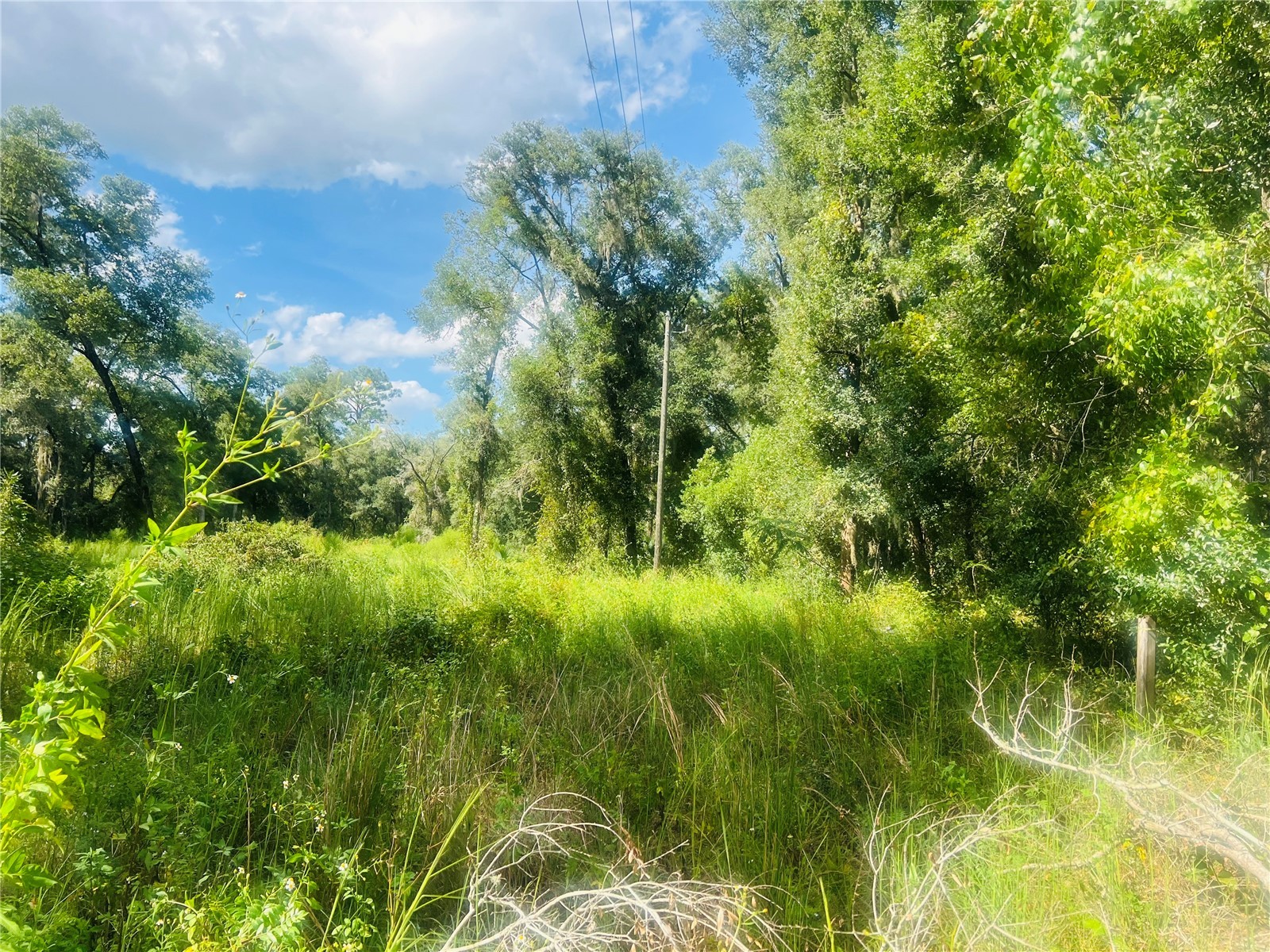 1215 Arredondo Grant Road De Leon Springs FL 32130 V4938730 image6