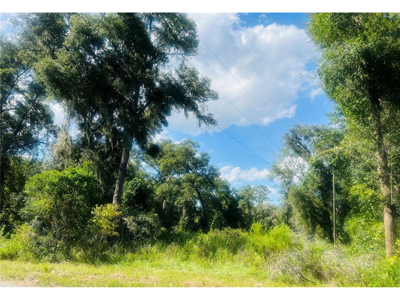 1215 Arredondo Grant Road De Leon Springs FL 32130 V4938730 image7
