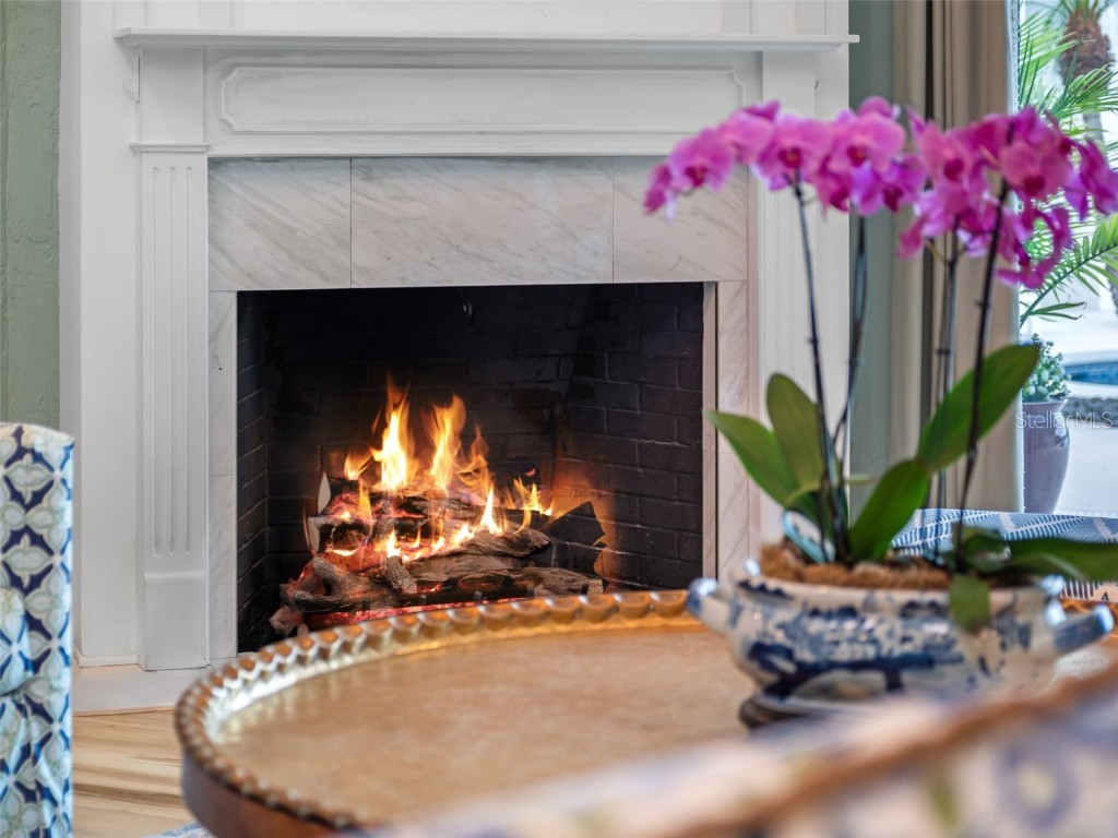 1215 Commodore Drive New Smyrna Beach FL 32168 NS1084959 image19