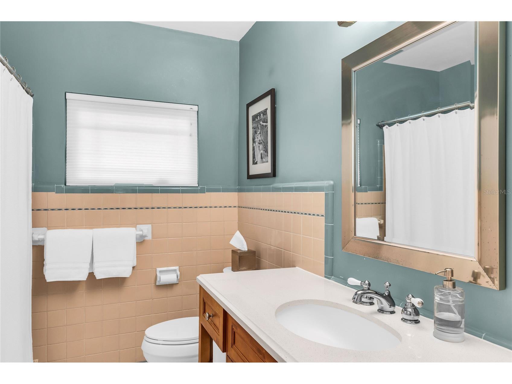 1215 Delaney Park Drive Orlando FL 32806 - LAKE EMERALD O6425159 image30