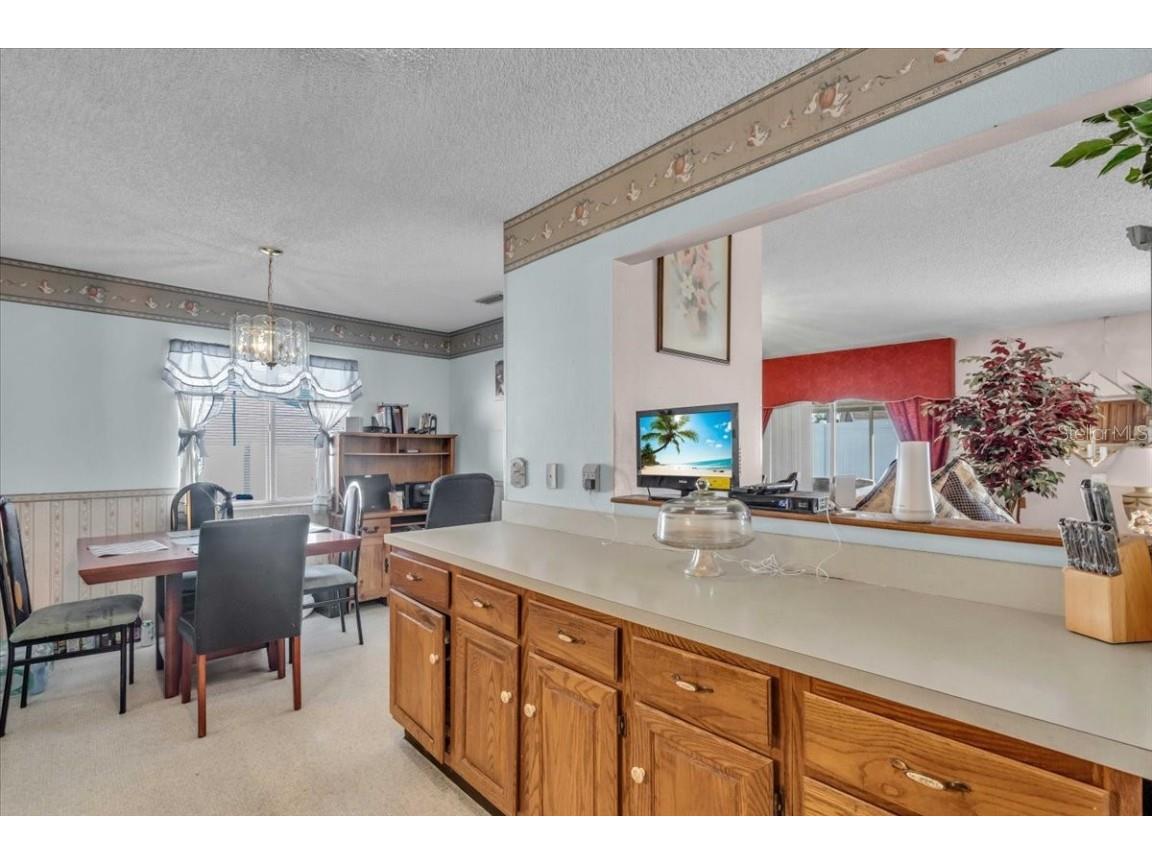 1215 Edgerton Drive Valrico FL 33594 TB8449026 image10