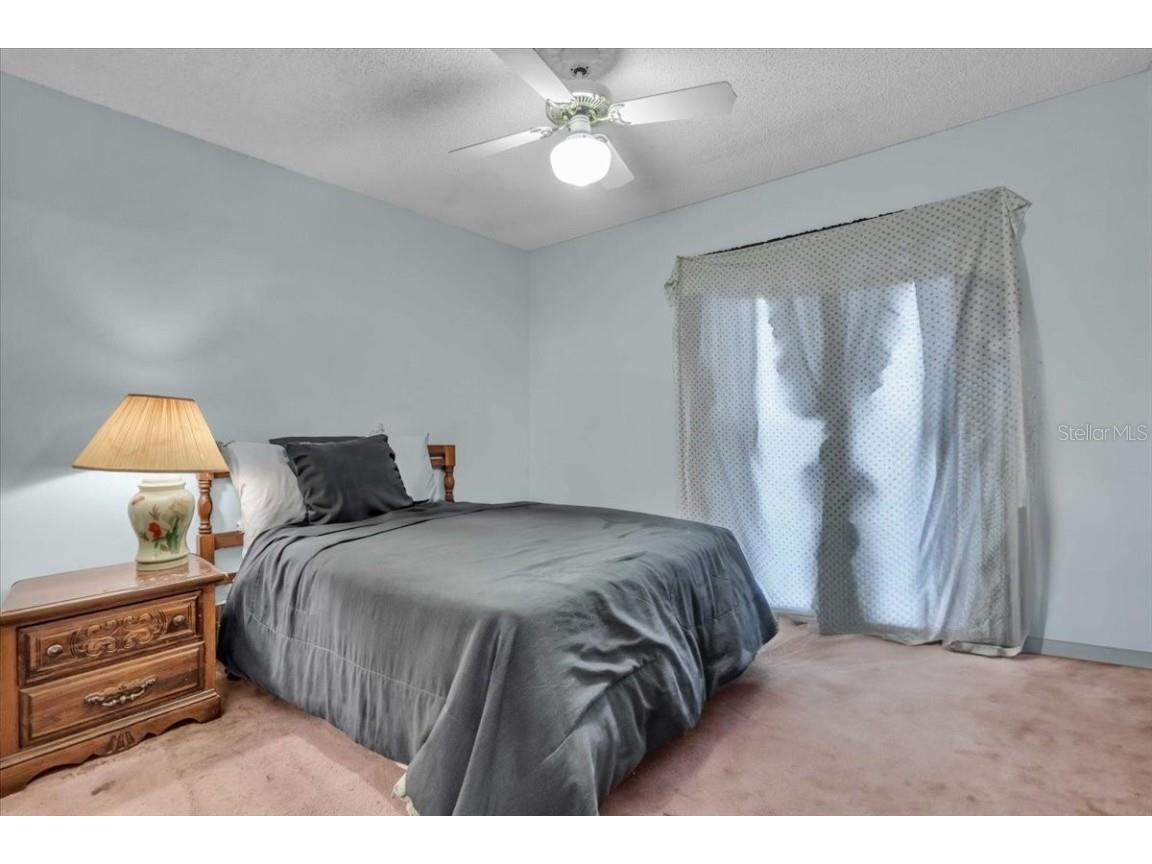 1215 Edgerton Drive Valrico FL 33594 TB8449026 image18