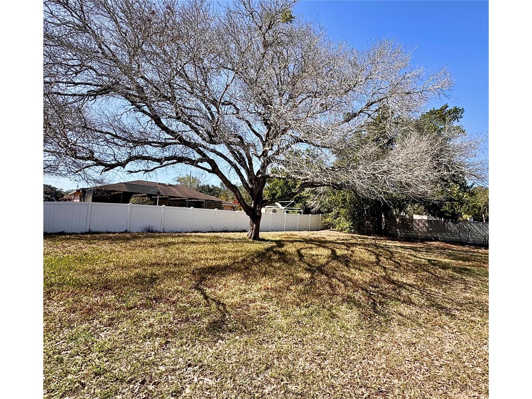 1215 Gatewood Avenue Spring Hill FL 34608 W7883296 image19