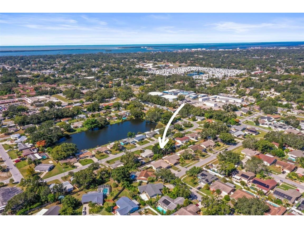 1215 Lazy Lake Road E Dunedin FL 34698 TB8444089 image39