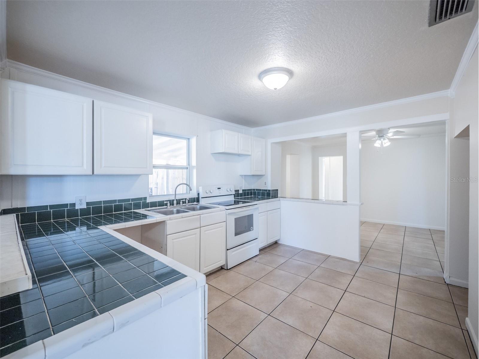 1215 Morin Street Eustis FL 32726 G5113161 image5