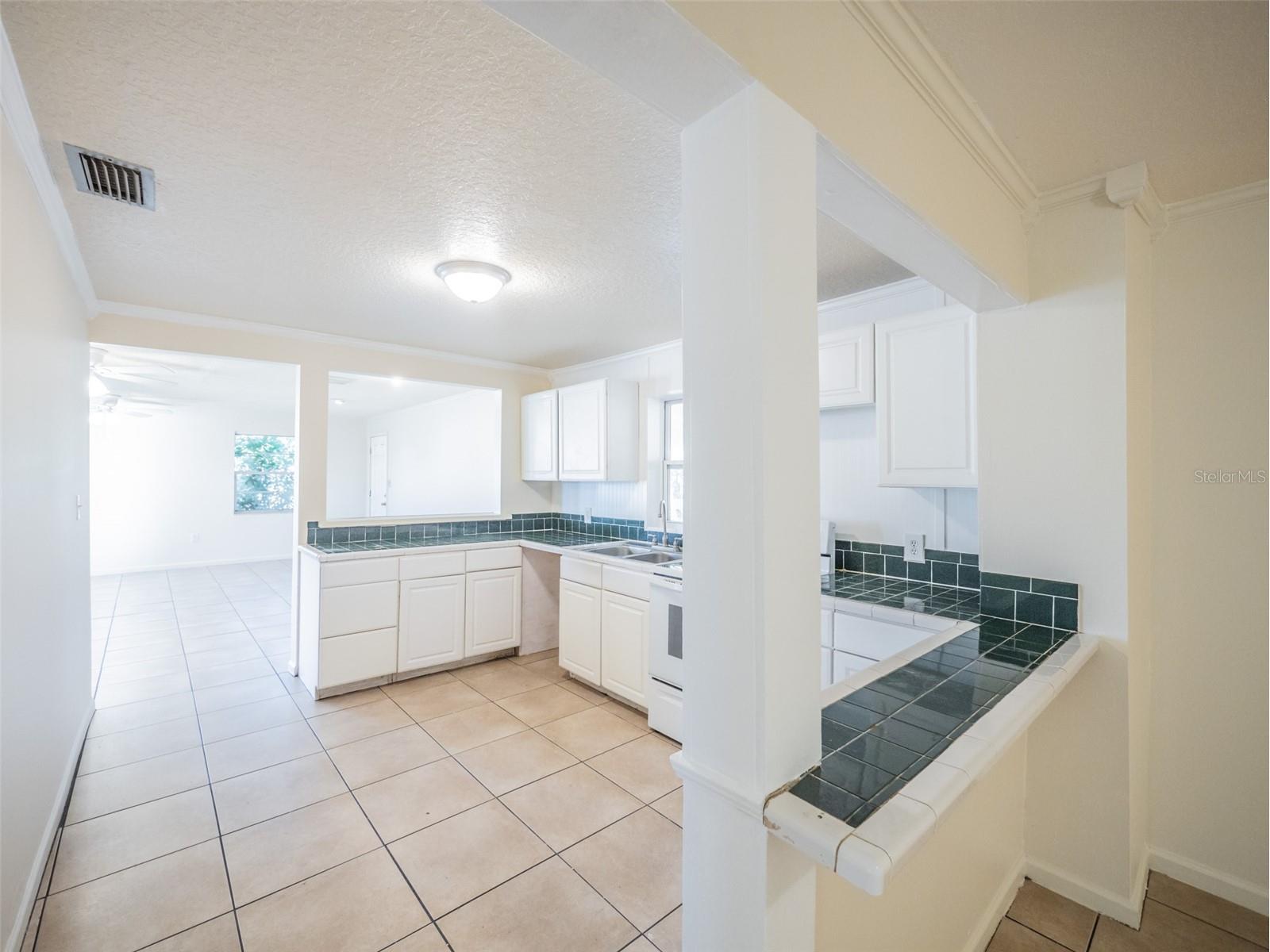 1215 Morin Street Eustis FL 32726 G5113161 image6
