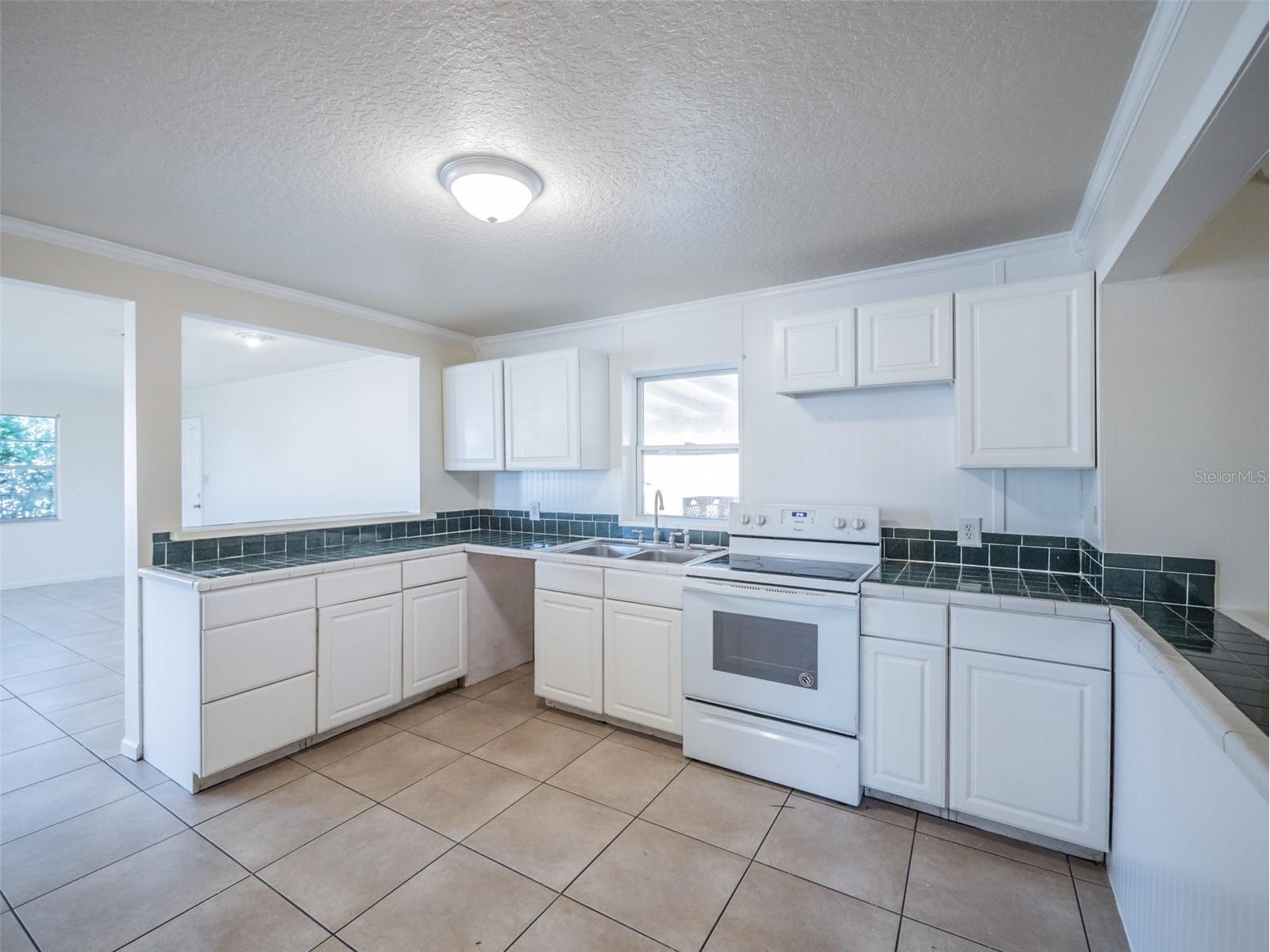 1215 Morin Street Eustis FL 32726 G5113161 image7