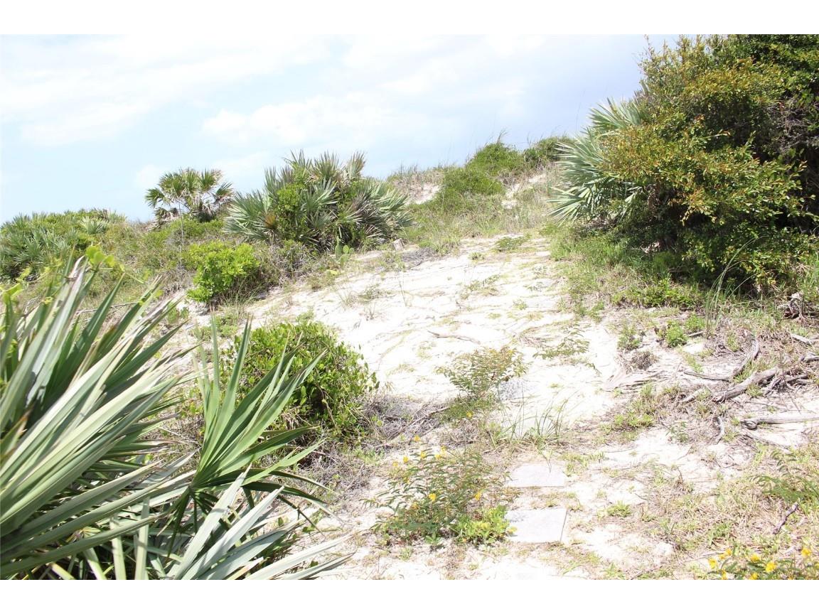 1215 N Atlantic Avenue New Smyrna Beach FL 32169 NS1083161 image13