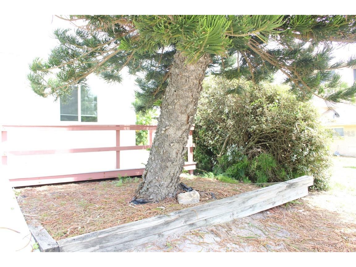 1215 N Atlantic Avenue New Smyrna Beach FL 32169 NS1083161 image2