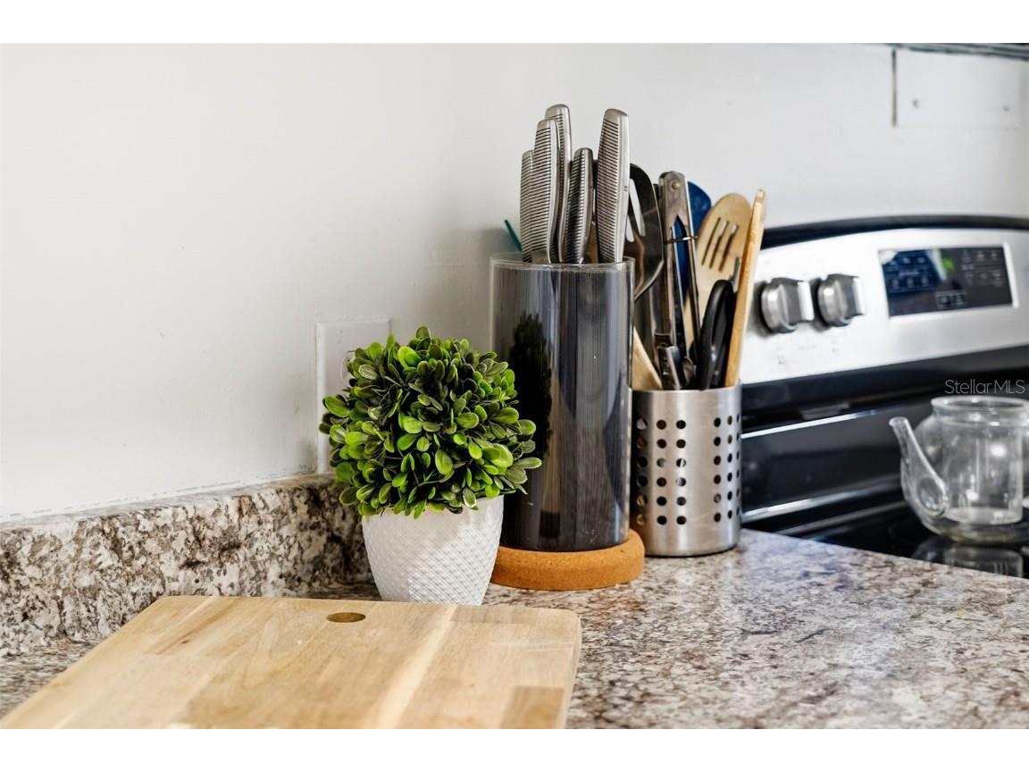 1215 Nicholson Street Clearwater FL 33755 TB8453401 image16