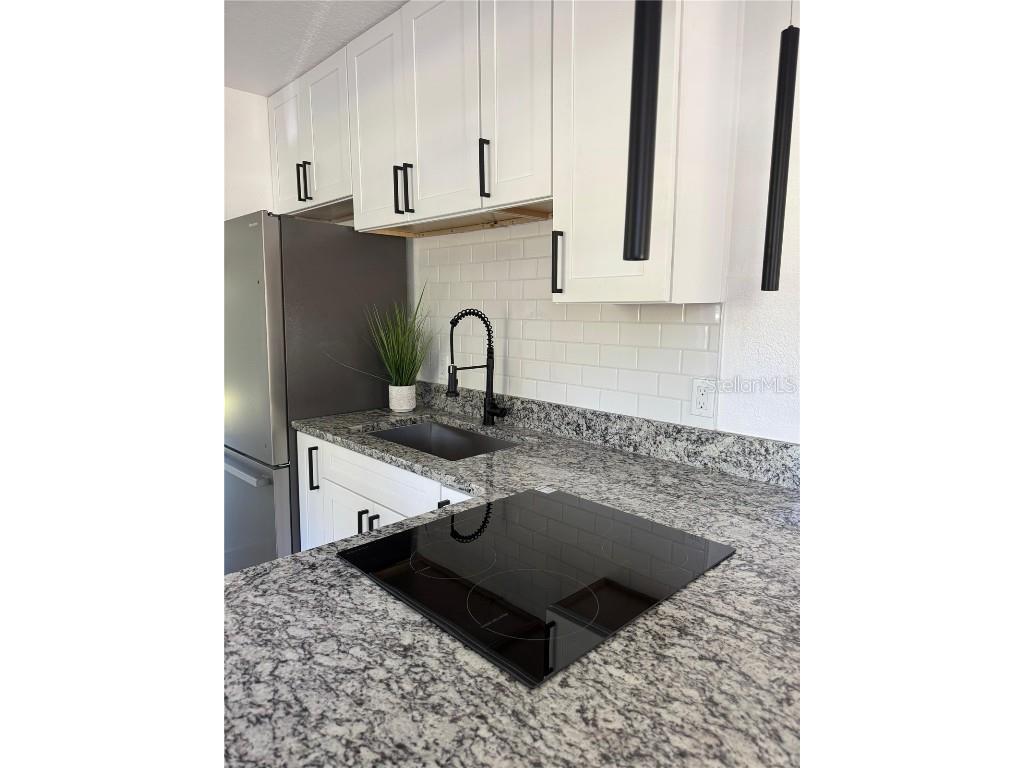 1215 NW 12th Avenue Ocala FL 34475 OM712867 image18