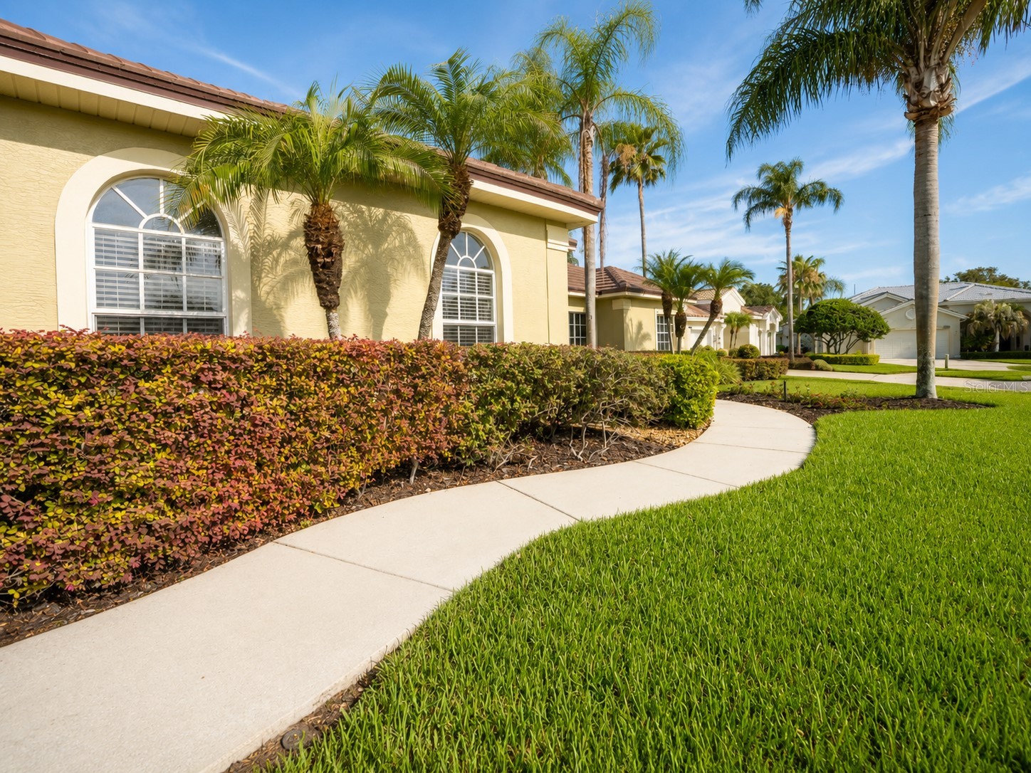 1215 Omeara Court New Port Richey FL 34655 TB8517361 image6
