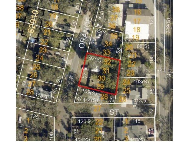 1215 Orange Avenue Dunedin FL 34698 TB8445409 image2