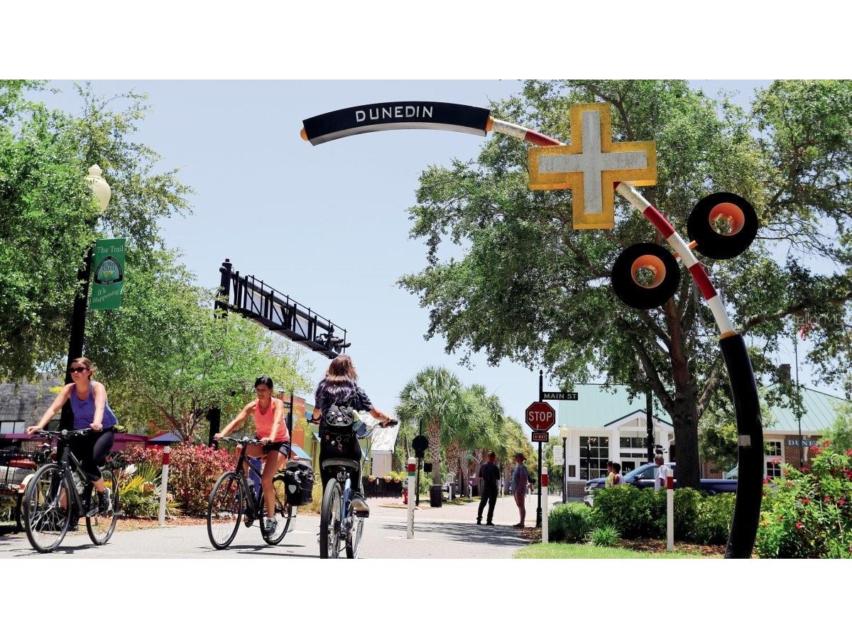 1215 Orange Avenue Dunedin FL 34698 TB8474275 image11